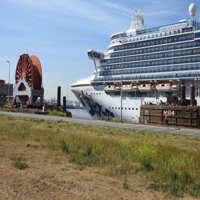 DSCN0441.jpg