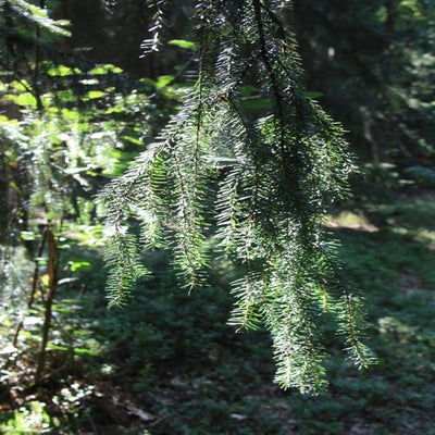 IMG_0692.jpg