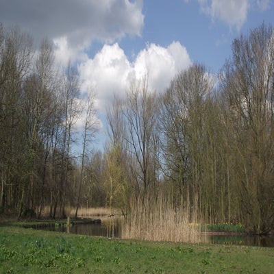 DSCF5177.jpg