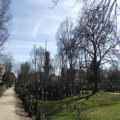 DSCF5027.jpg