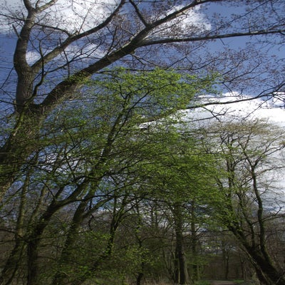 DSCF5150.jpg