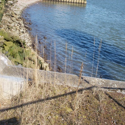 DSCN1386.jpg