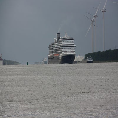 IMG_8068.jpg