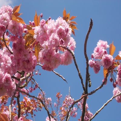DSCN3094.jpg