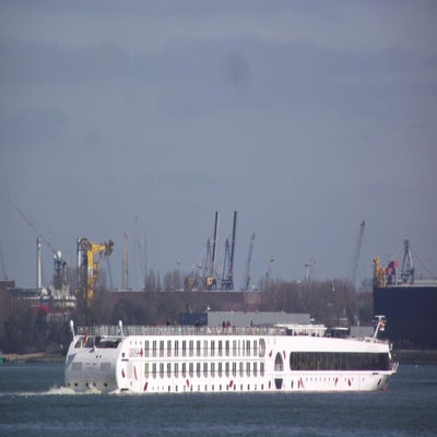DSCF5056.jpg