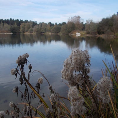 DSCN2530.jpg