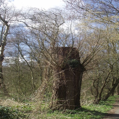 DSCF5152.jpg