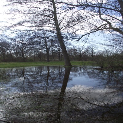 DSCF5214.jpg