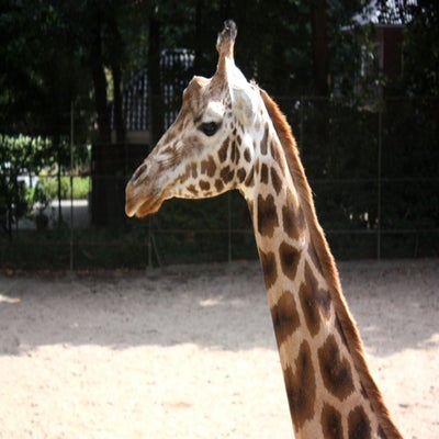 IMG_6247.jpg
