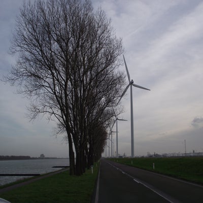 DSCF8964.jpg