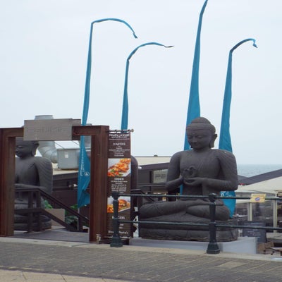 DSCF2419.jpg