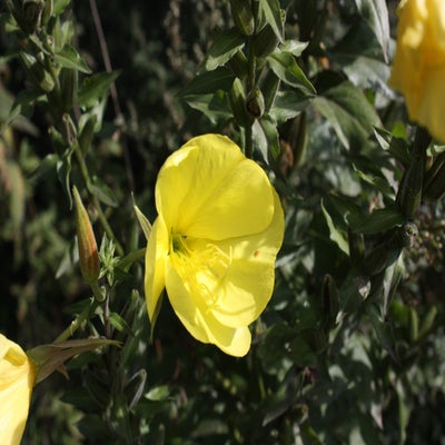 IMG_5779.jpg