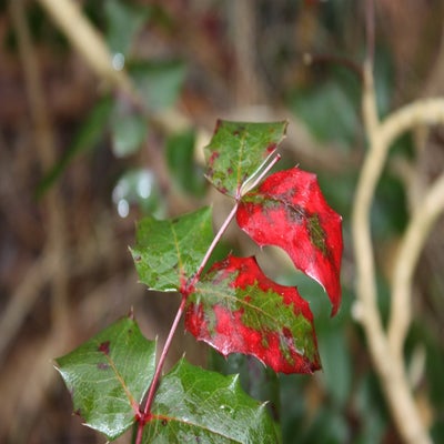 IMG_4164.jpg