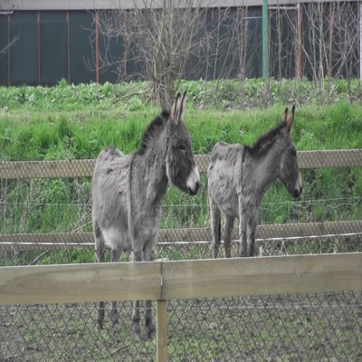 DSCF5209.jpg