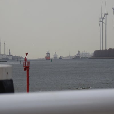 DSCN9691.jpg