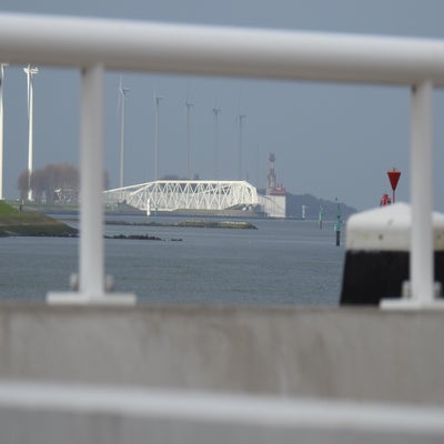 DSCN9700.jpg