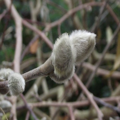DSCF8627.jpg