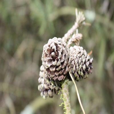 IMG_4678.jpg