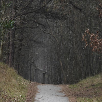 DSCN9859.jpg