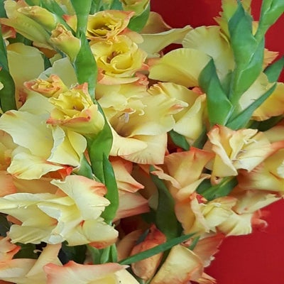 20160805_203956.jpg