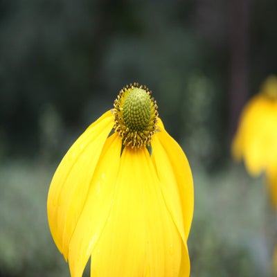 IMG_0720.jpg