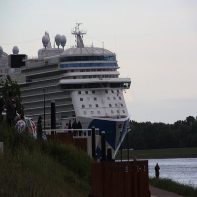 IMG_8092.jpg