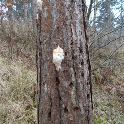 DSCN1349.jpg