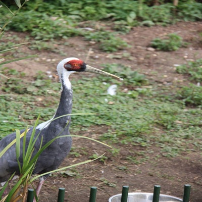 IMG_1572.jpg