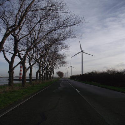 DSCF8951.jpg