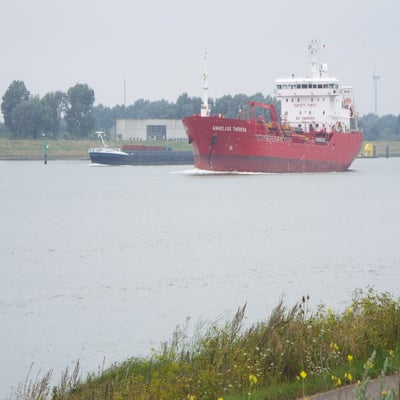 DSCF2721-1.jpg