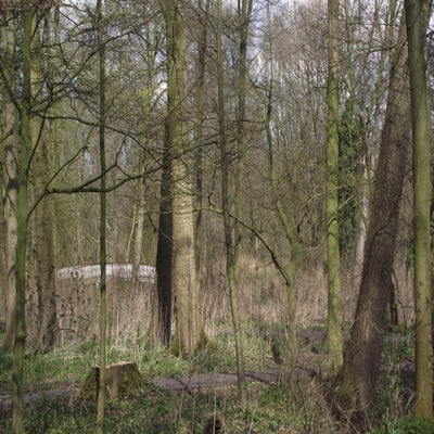 DSCF5158.jpg
