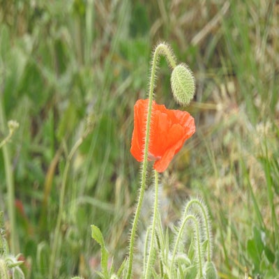 DSCN0022.jpg
