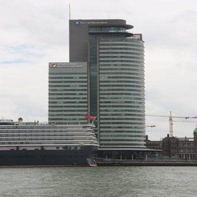 IMG_9949.jpg