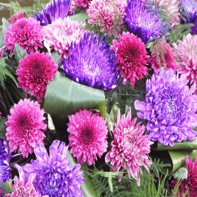 DSCF2603.jpg