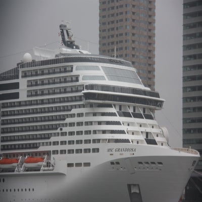 IMG_7290.jpg