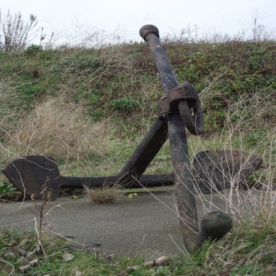 DSCF8983.jpg