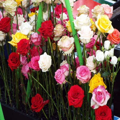 DSCF2602.jpg