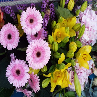 DSCF2611.jpg
