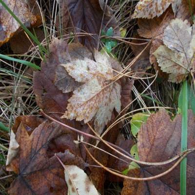 DSCN2538.jpg
