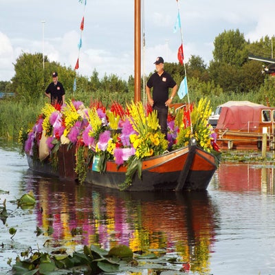 DSCF2532.jpg