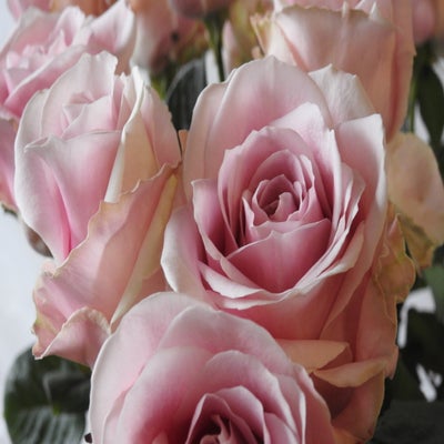 DSCN7758.jpg