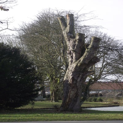 DSCF4798.jpg