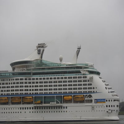DSCN9319.jpg