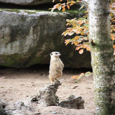 IMG_1621.jpg