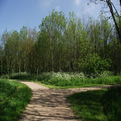 001-2.jpg