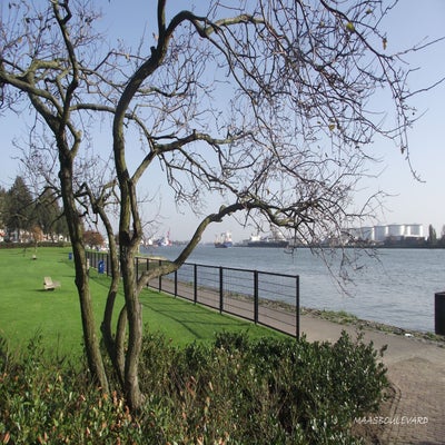 2014-11-01Vlaardingen039.jpg