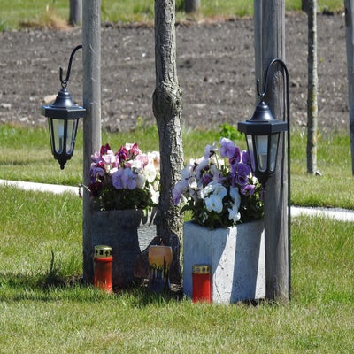 DSCN5193.jpg