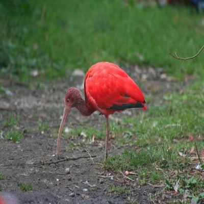 IMG_3137.jpg