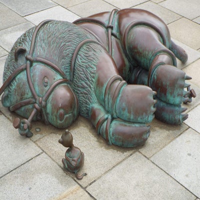 DSCF2447.jpg