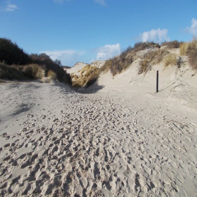 DSCN1115.jpg